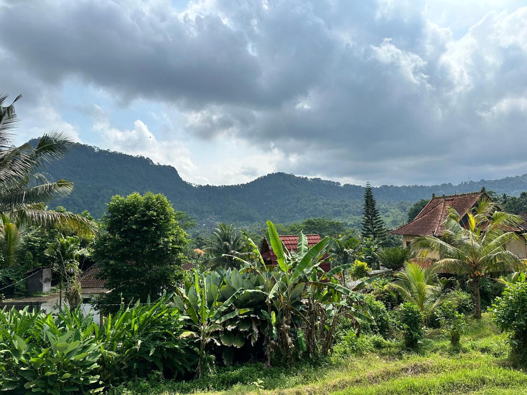D'Janu Homestay Sidemen  Exterior foto